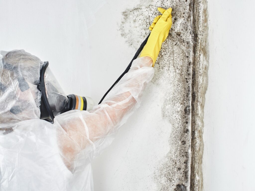 Even if you think it's not serious, most mold requires professional mold removal.