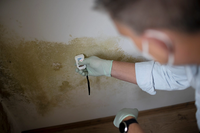 Man inspecting water damage on a wall with a detector - Water Damage Signs Impact and Remediation