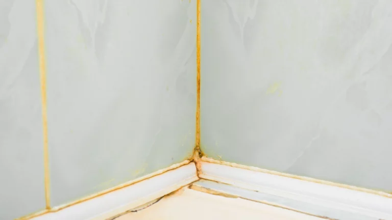 Picture of Bathroom Mold in a corner of a bathroom.